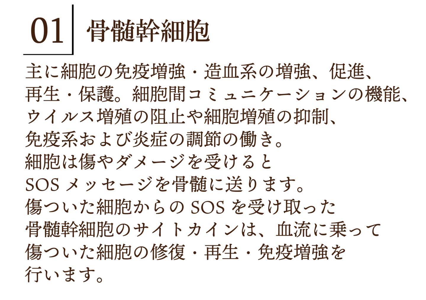 瞬間美顔の詳細