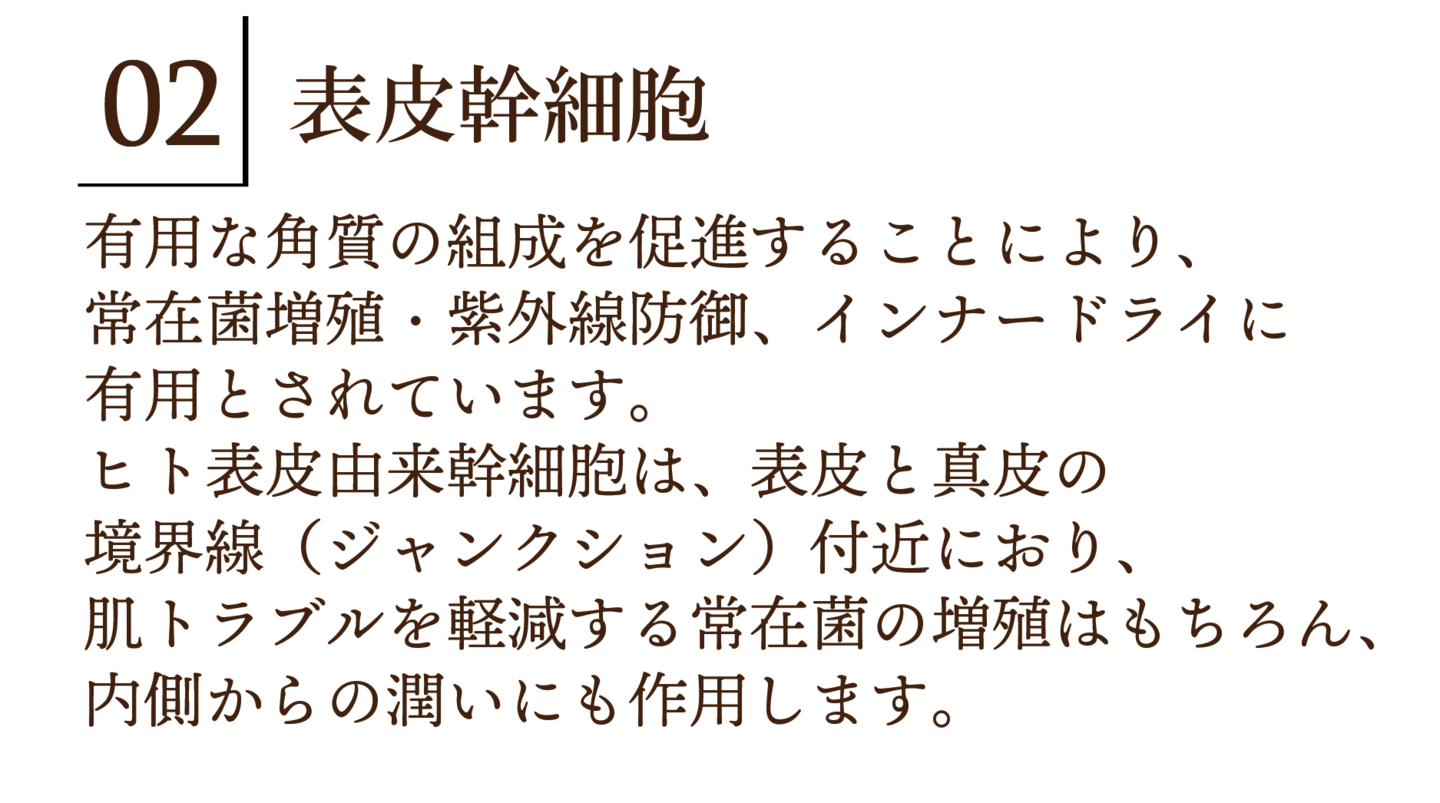 瞬間美顔の詳細