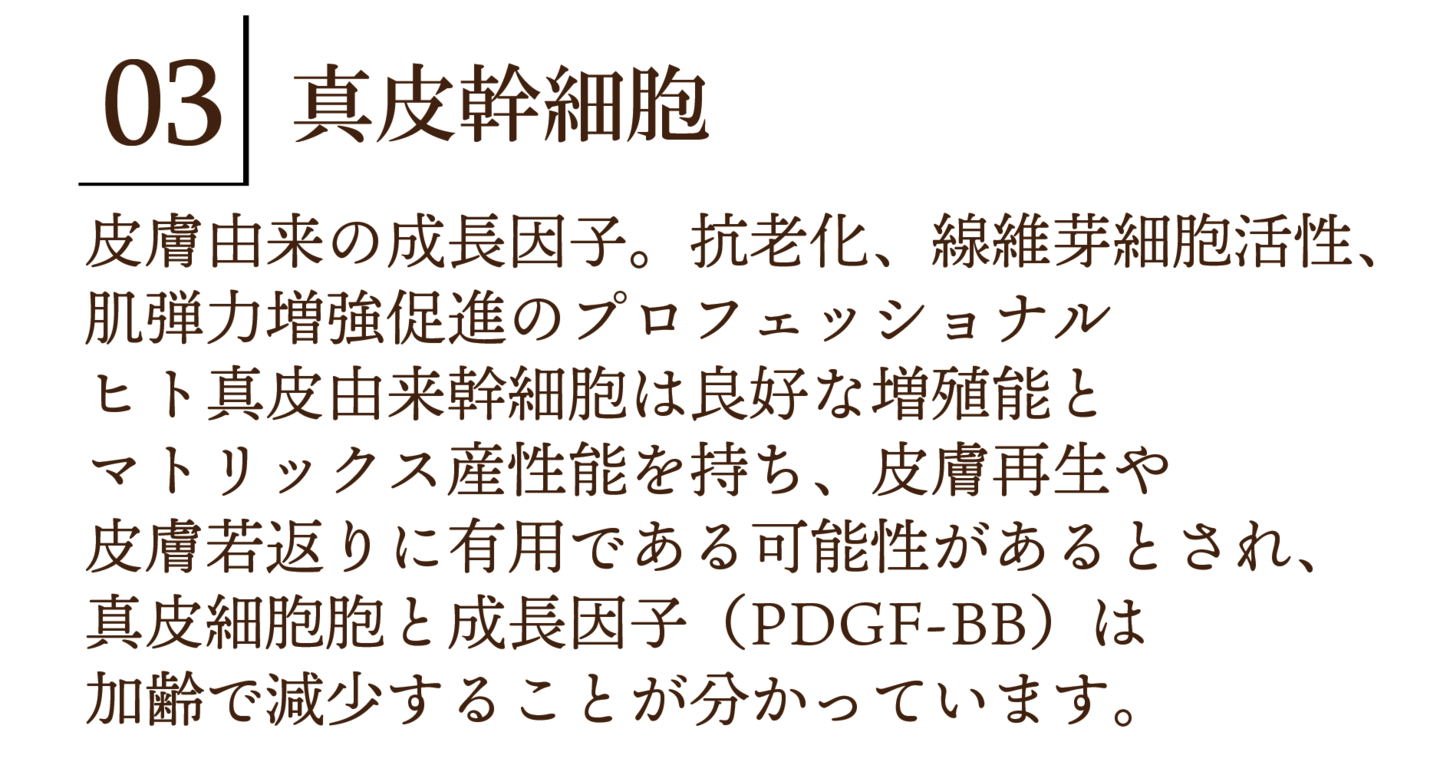 瞬間美顔の詳細