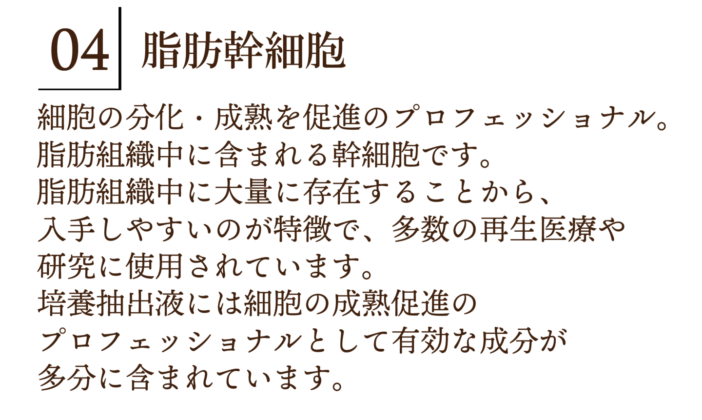 瞬間美顔の詳細